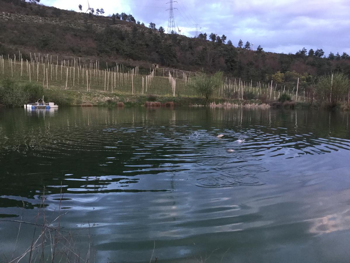 Quinta Bemboa Turismo Espaco Rural Aricera Dış mekan fotoğraf