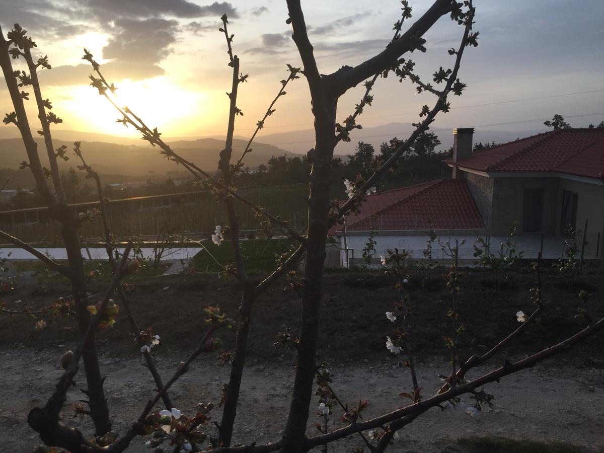 Quinta Bemboa Turismo Espaco Rural Aricera Dış mekan fotoğraf