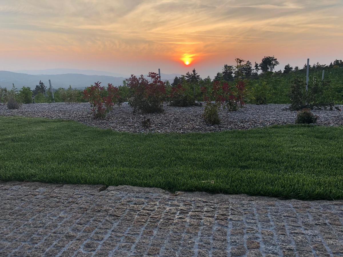 Quinta Bemboa Turismo Espaco Rural Aricera Dış mekan fotoğraf