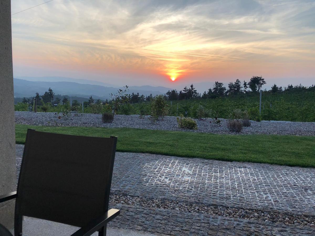 Quinta Bemboa Turismo Espaco Rural Aricera Dış mekan fotoğraf