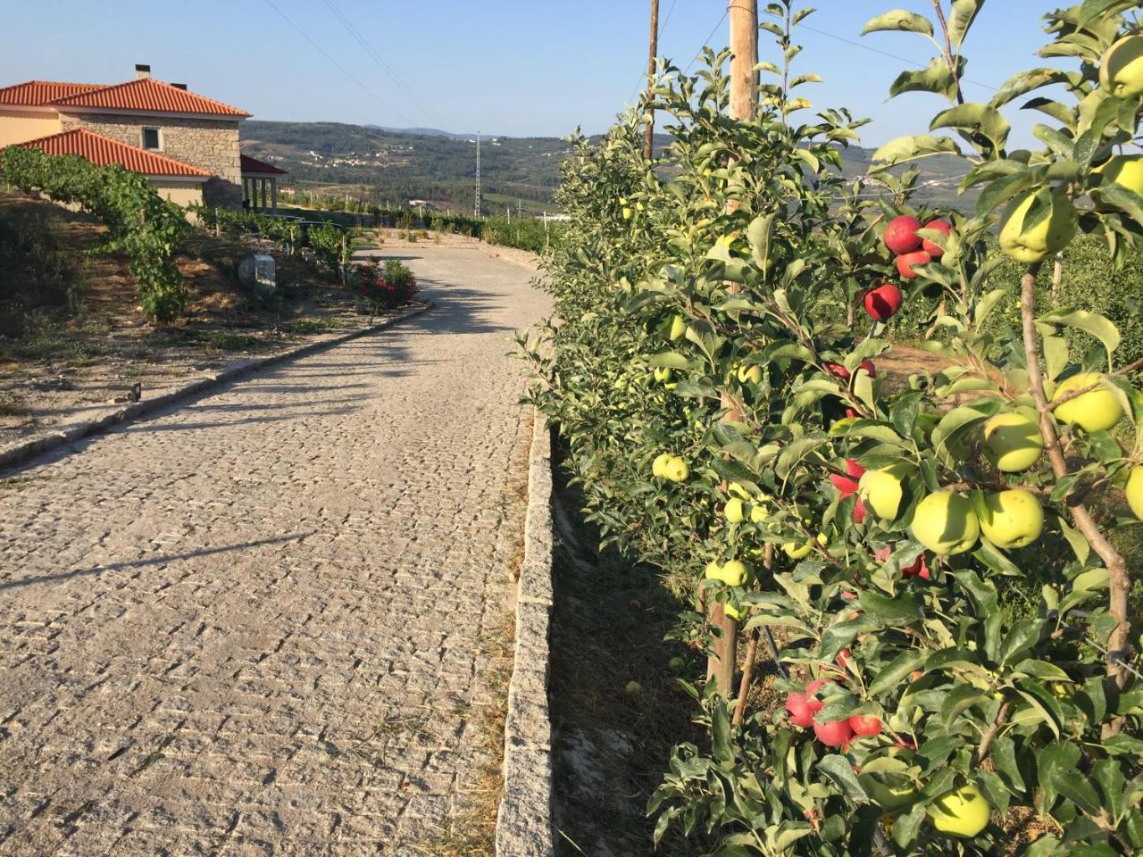 Quinta Bemboa Turismo Espaco Rural Aricera Dış mekan fotoğraf