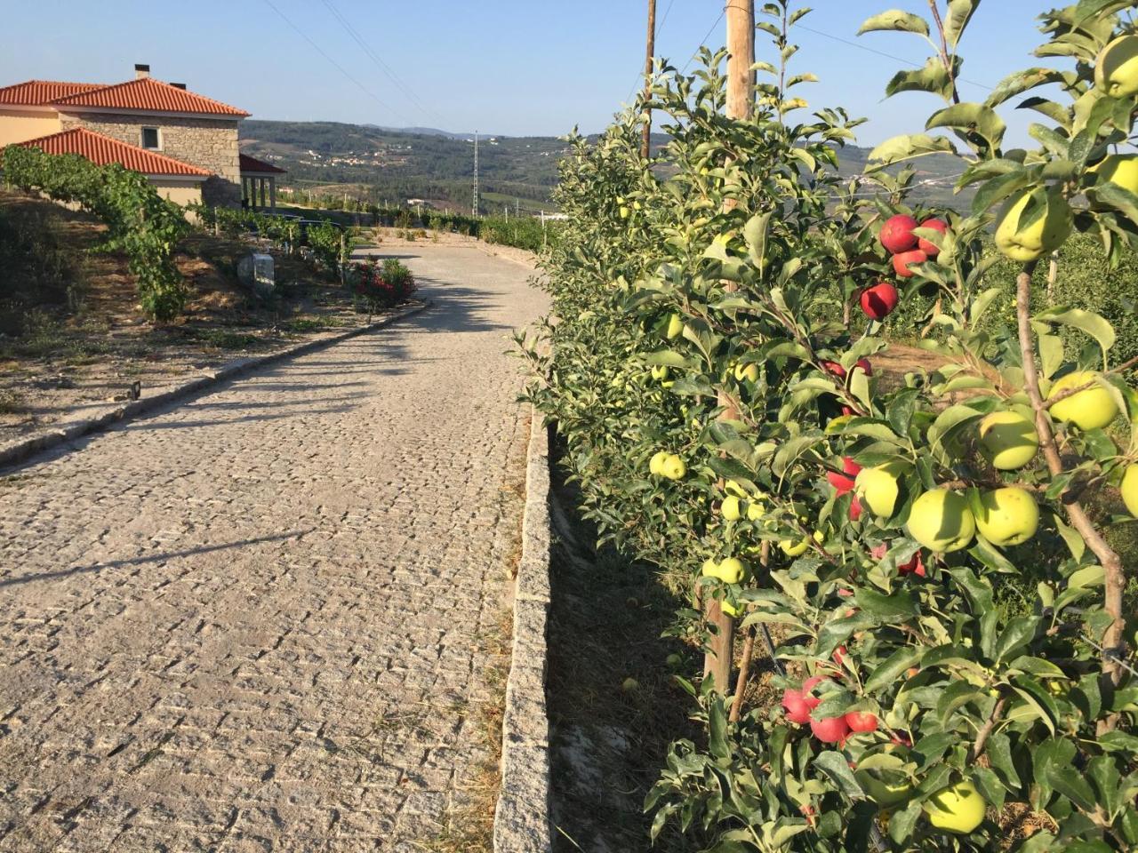 Quinta Bemboa Turismo Espaco Rural Villa Aricera Dış mekan fotoğraf