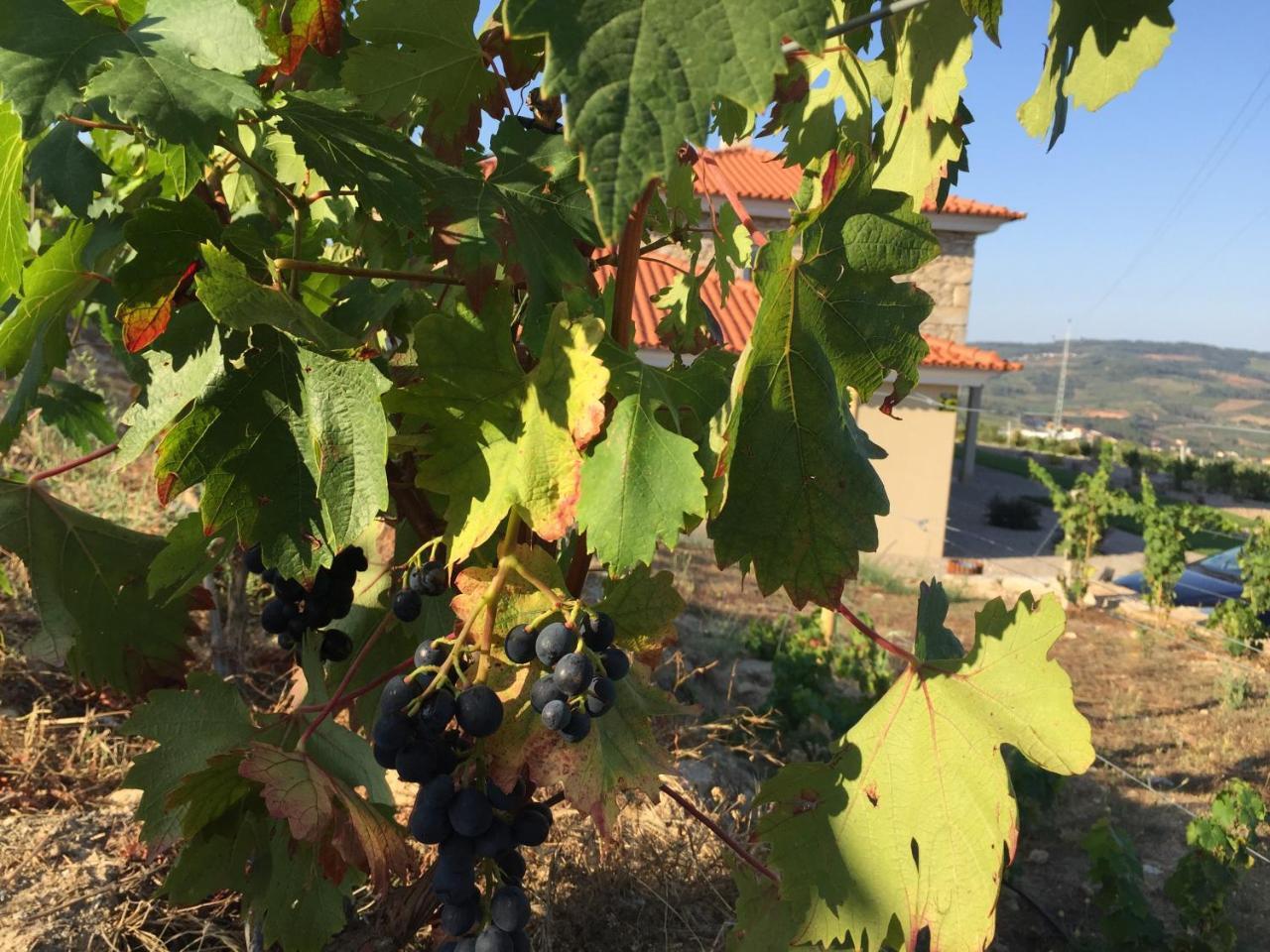 Quinta Bemboa Turismo Espaco Rural Villa Aricera Dış mekan fotoğraf