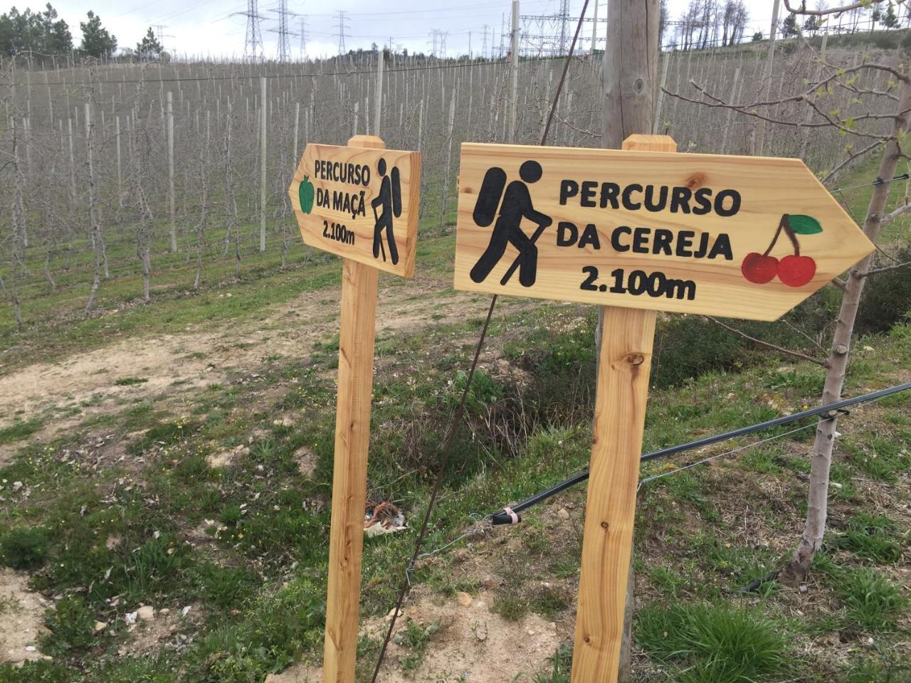 Quinta Bemboa Turismo Espaco Rural Aricera Dış mekan fotoğraf