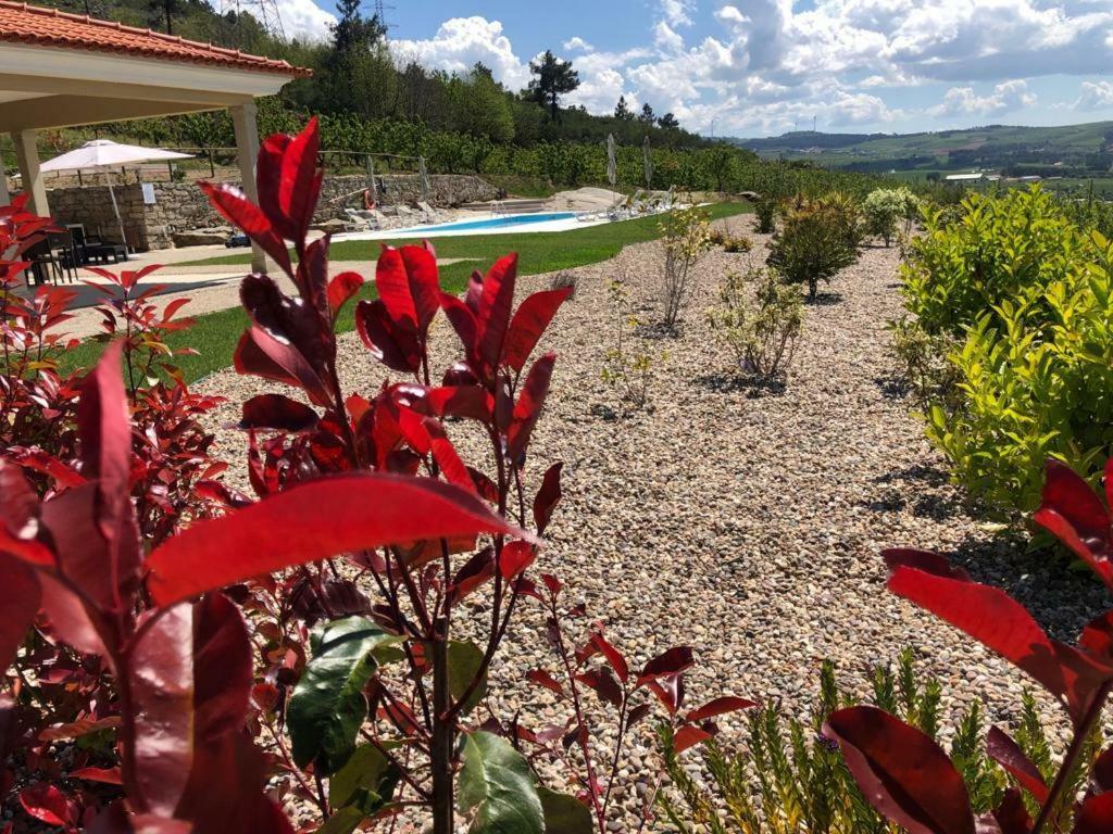 Quinta Bemboa Turismo Espaco Rural Aricera Dış mekan fotoğraf