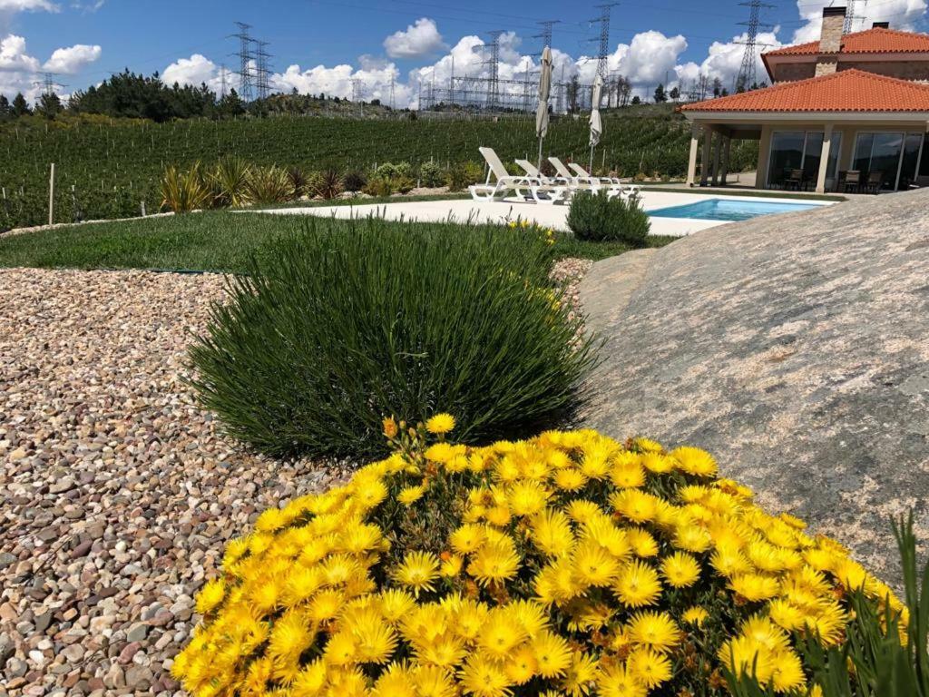 Quinta Bemboa Turismo Espaco Rural Aricera Dış mekan fotoğraf